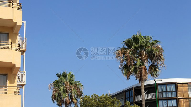 酒店预订取消政策：揭秘背后的规范与考量